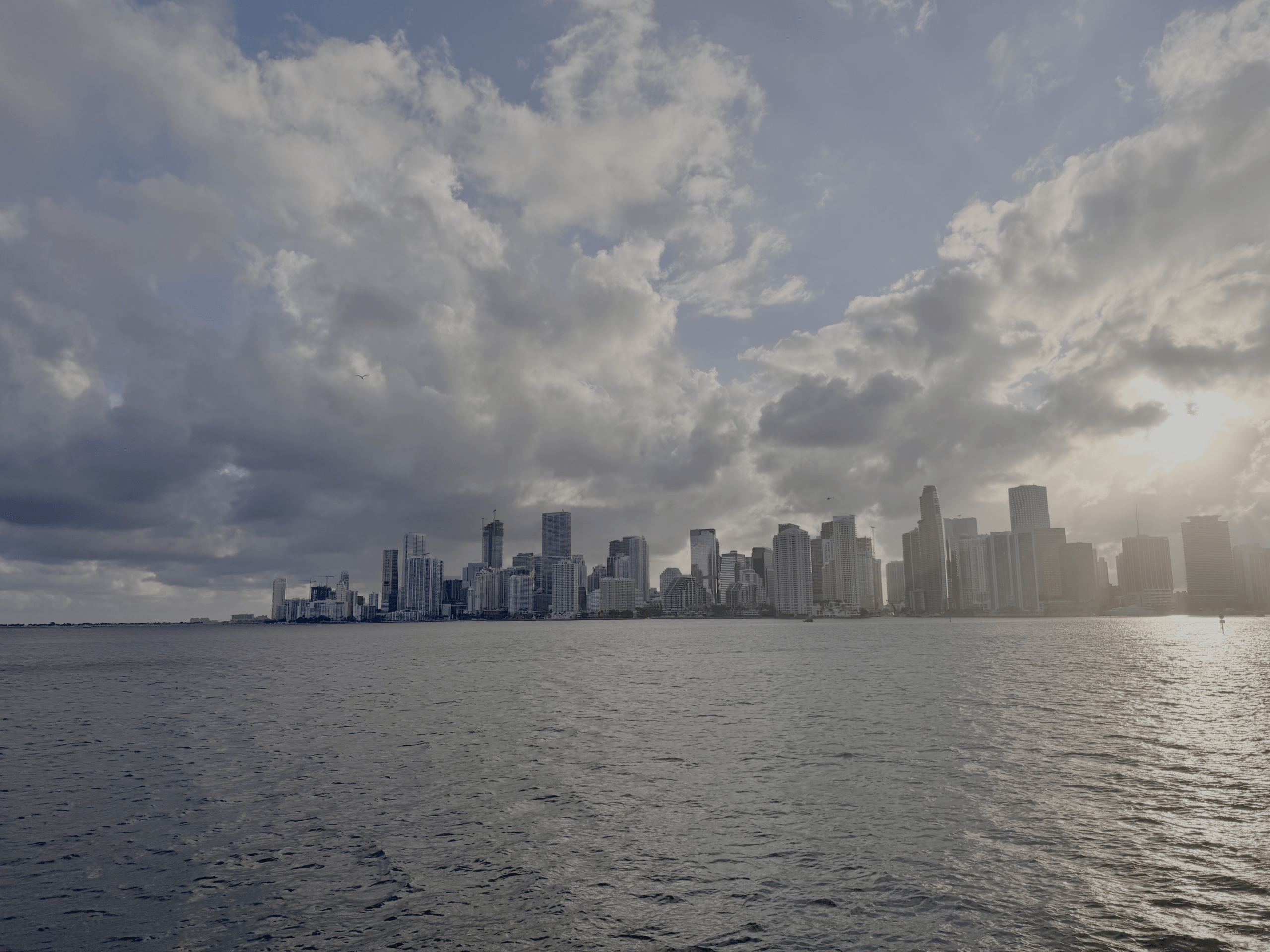 Arriving in Miami, FL for the IMN Conference